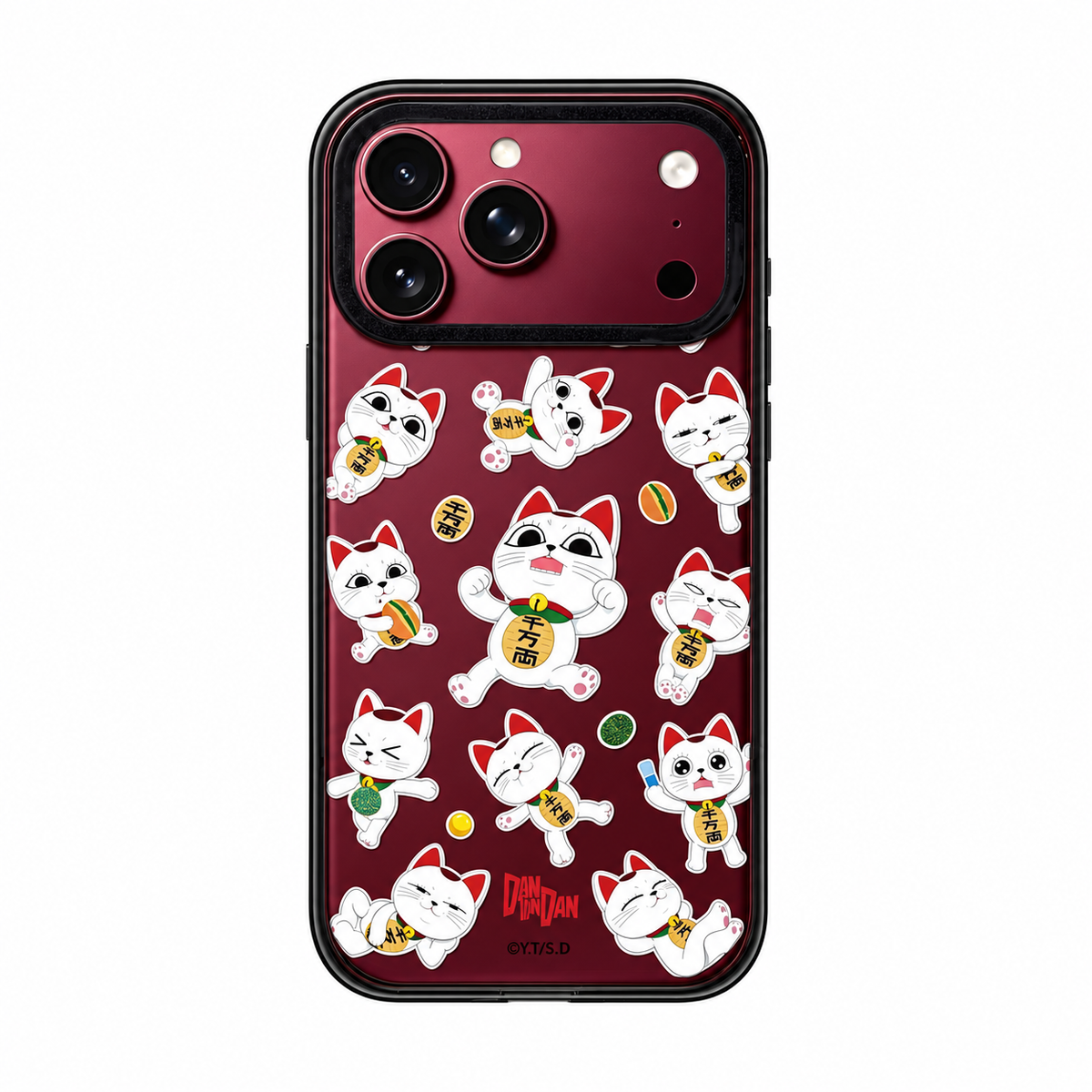 Cat Love Gift Acrylic iPhone Case
